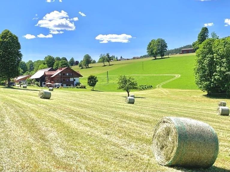 Ferienwohnung Biobauernhof Brandlhof Ramsau am Dachstein Exterior foto