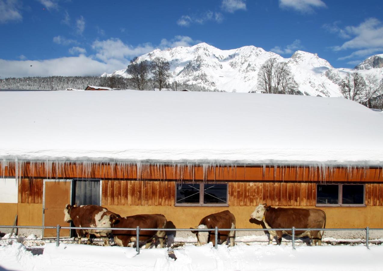 Ferienwohnung Biobauernhof Brandlhof Ramsau am Dachstein Exterior foto