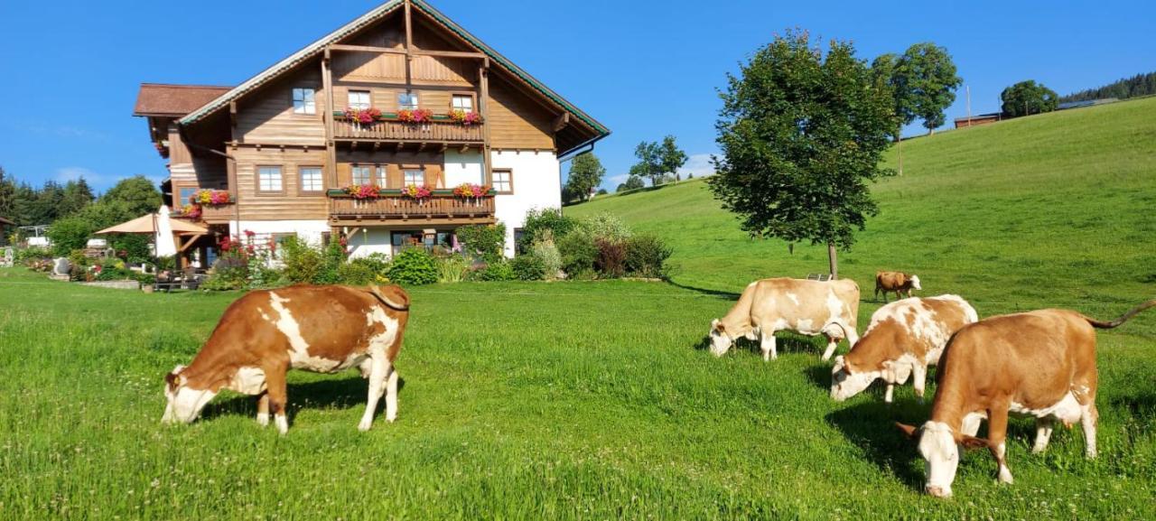 Ferienwohnung Biobauernhof Brandlhof Ramsau am Dachstein Exterior foto
